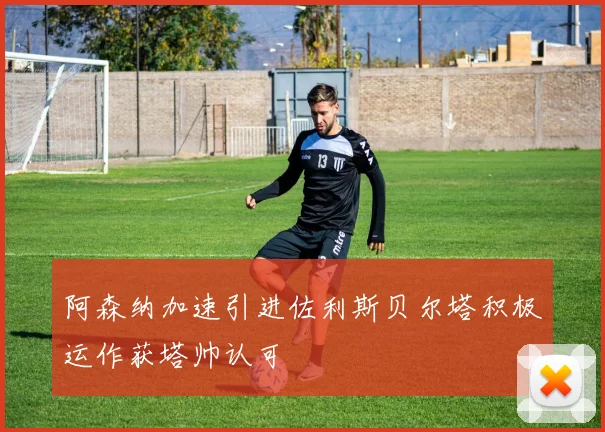阿森纳加速引进佐利斯贝尔塔积极运作获塔帅认可